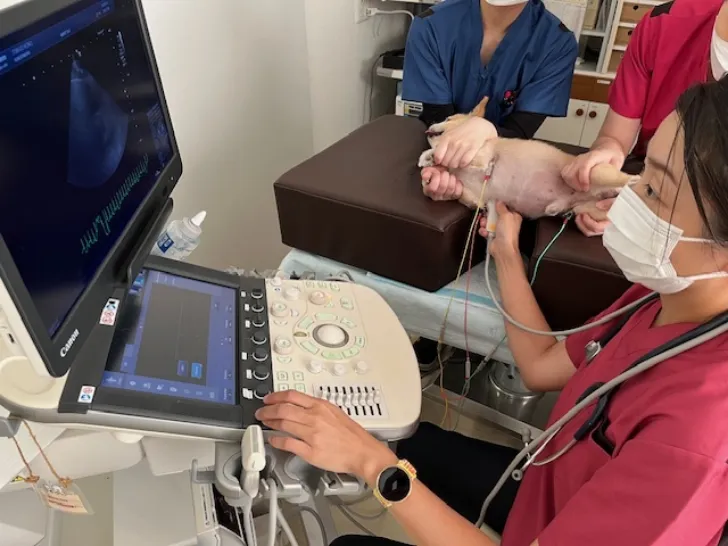 実際の検査の様子