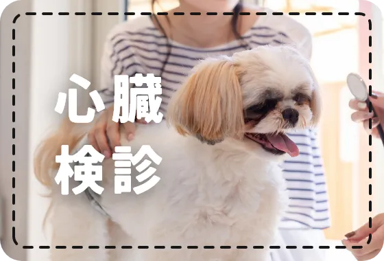 心臓検診