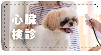 心臓検診