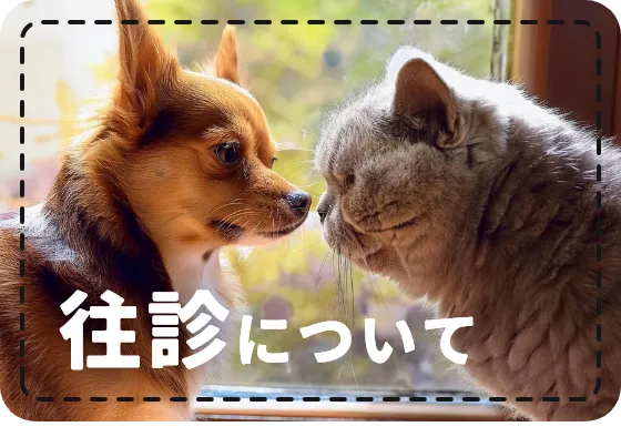 往診について