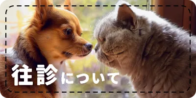 往診について